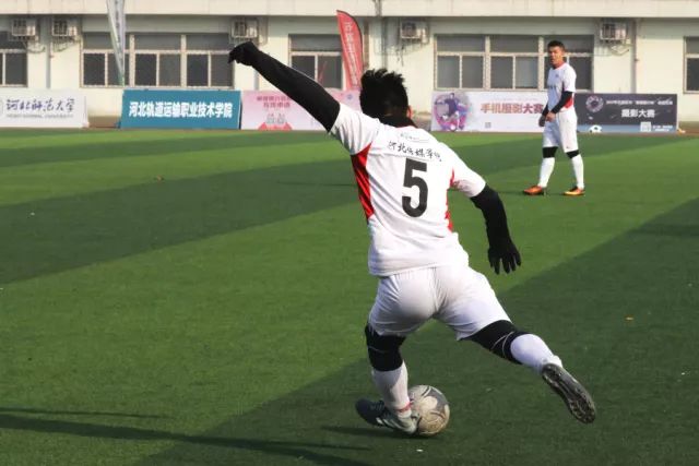 上海队官宣两外援人选 冯莱搭档费雷尔新赛季